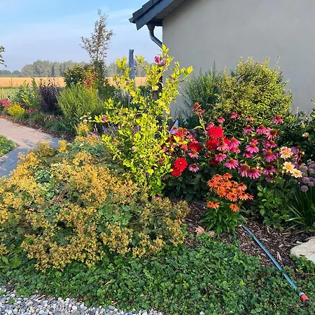 Koenigsgut Emmericher Eyland *